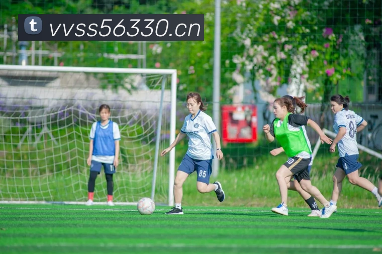 App Interface Preview